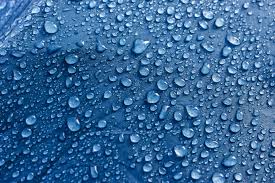 hydrolisis resistant